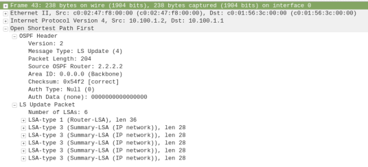 ospf-type4-lsupdate